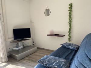 sala de estar con sofá azul y TV en Appartement Balaruc-les-Bains, 1 pièce, 2 personnes - FR-1-553-35, en Balaruc-les-Bains