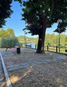 um parque com uma árvore e um banco ao lado da água em La casa di Ciccio em Limite