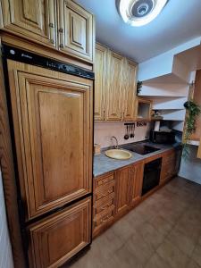 uma cozinha com armários de madeira e um lavatório em BUENAVISTA LUXURY em Sierra Nevada