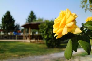Zahrada ubytování Agriturismo Ai Vigneti