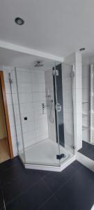 eine Dusche mit Glastür im Bad in der Unterkunft Apartment Günzblick in Ellzee