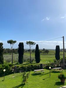 two benches in a park with trees and a field at Agriturismo La Luciana in Castiglione della Pescaia