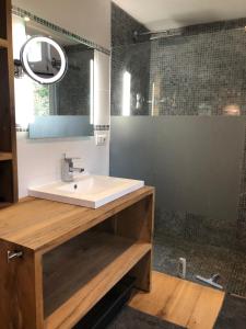 een badkamer met een wastafel en een douche bij Genval-BNB-Lake in Genval