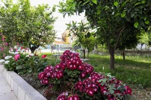 Fotografie z fotogalerie ubytování Vila Agolli v destinaci Vlorë