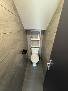 a small bathroom with a toilet in a stall at ARconciergerie Logement cosy centre-ville in Maisse +10 photos