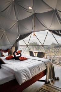 een bed in een tent met een groot raam bij Glamping Casa Esteval in Rocha Amarela