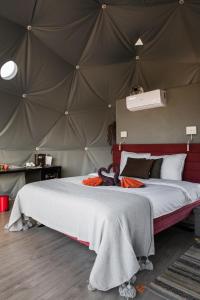 een slaapkamer met een bed in een tent bij Glamping Casa Esteval in Rocha Amarela