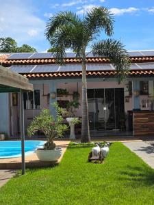 a house with two palm trees and a swimming pool at Casa Rosa in Cuiabá
