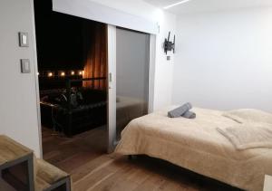1 dormitorio con 1 cama y puerta corredera de cristal en Hotel Cabañas y Chalets lujosos Mágica Luna en Villamaría