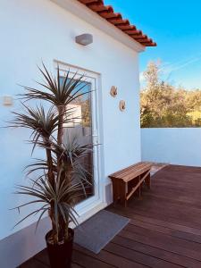 a porch with a bench and a potted plant at Paraíso a Dois em Estremoz in Estremoz