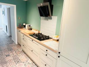 uma cozinha com fogão e paredes verdes em The Heath Retreat em Whitstable