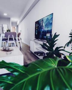 sala de estar con TV de pantalla plana y planta en POTENCIAL Alquileres Temporarios DE LUJO, en San Nicolás de los Arroyos