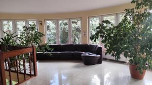 una sala de estar con un sofá negro y algunas plantas en Henrix, en Varsovia