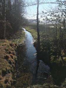 a small stream in the middle of a field at Knus chalet in de bossen van Epe met fietsen in Epe