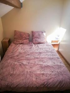 Katil atau katil-katil dalam bilik di Bel Appartement Style Industriel , A 2 pas du Lac