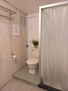uma casa de banho com um WC e um vaso de plantas em Lodge Andes em Farellones