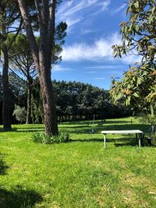 Gallery image of Gîte des pins in Saint-Maurice-dʼIbie +15 photos