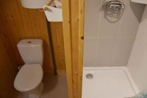 a small bathroom with a toilet and a shower at La cabane de Robinson à 500m de la plage in Lacanau +3 photos