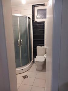 a bathroom with a shower and a toilet at Villa Marinov in Ohrid