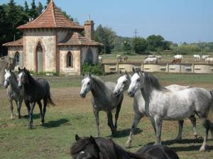 Afbeelding uit fotogalerij van Céline et Alain, mobil Home cosy in La Roque-dʼAnthéron