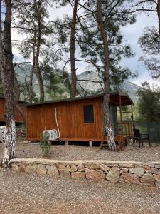 una cabina nel bosco con una panchina e un albero di Belize suit otel a Muğla