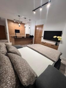 a living room with a large bed and a flat screen tv at Apartment Holiday La Mata in La Mata
