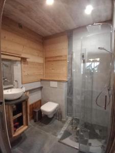 ein Bad mit einer Dusche, einem WC und einem Waschbecken in der Unterkunft LA FERME DU FAY in Sixt