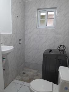 een badkamer met toilet en wastafel bij Cozy 2 bed in Ocho Rios in Ocho Rios