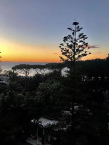 eine Kiefer mit Sonnenuntergang im Hintergrund in der Unterkunft Le Case della Costa - Apartment Positano in Maiori