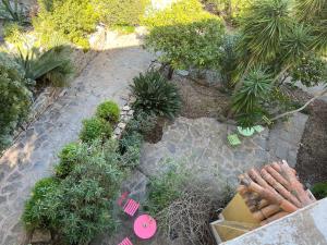 an overhead view of a garden with plants and a box at Hôtel Paradis in Bormes-les-Mimosas