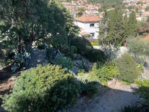an aerial view of a garden with bushes and trees at Hôtel Paradis in Bormes-les-Mimosas