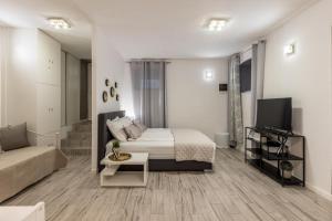 Televízia a/alebo spoločenská miestnosť v ubytovaní Apartments and Rooms Villa Lina