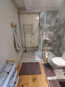een badkamer met een douche en een toilet bij Gustiņi in Baltezers