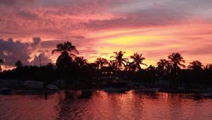 una puesta de sol sobre un cuerpo de agua con palmeras en Bote anclado libre sobre el arrecife lejos de la costa en Isla Mujeres