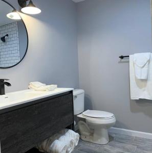 a bathroom with a toilet and a sink and a mirror at Private Suite in Davison in Davison