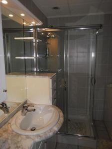 a bathroom with a sink and a shower at Ferienwohnung in Kirchscheidungen mit Grill, Garten und Terrasse in Laucha