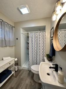 La salle de bains est pourvue de toilettes, d'un lavabo et d'une douche. dans l'établissement 3 Bedroom Home, Walk to Lake Erie, à Willoughby