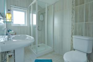 a bathroom with a toilet and a sink and a shower at The Old Coach House in Boscastle