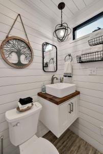 ein Badezimmer mit einem WC, einem Waschbecken und einem Spiegel in der Unterkunft Bluebonnet Trail in Waco