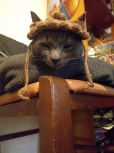Backpackers & Travelers Central old town في يوانينا: قطةٌ ترتدي قبعةً فوق الطاولة