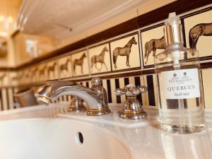 a bottle of soap sitting on a bathroom sink at Landhaus Eggert in Münster +65 photos