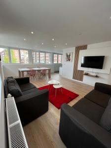 ein Wohnzimmer mit einem schwarzen Sofa und einem roten Teppich in der Unterkunft Loft à deux pas de la plage in Dunkerque