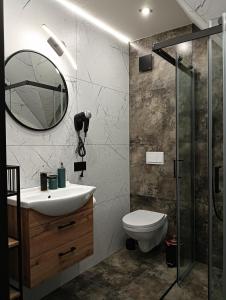 a bathroom with a sink and a mirror and a toilet at Noclegi SKORUSINKA w pobliżu Chochołowskich Term in Witów