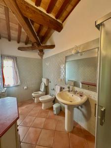 a bathroom with a sink and a toilet and a mirror at Agriturismo Casa Alle Vacche in San Gimignano