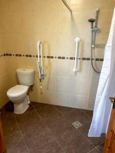 uma casa de banho com um WC e um chuveiro em Marian Place House em Cahersiveen