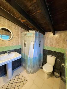 uma casa de banho com uma cortina de chuveiro, um WC e um lavatório. em CASA UMBRIA em Yunquera