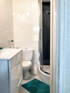 a white bathroom with a toilet and a shower at Studio avec piscine partagee jardin clos et wifi a Saint Apollinaire in Saint-Apollinaire