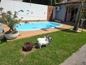 duas estátuas de ovelhas na relva perto de uma piscina em Casa Rosa em Cuiabá
