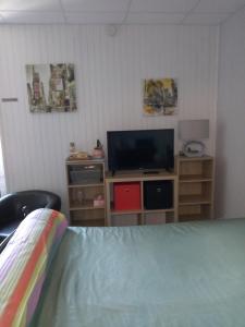 een slaapkamer met een bed en een televisie op een standaard bij Studio du Parc thermal in Vittel