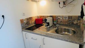 un bancone della cucina con lavandino in camera di Porto City Centre Studios a Porto